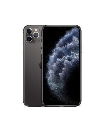 iPhone 11 Pro Max 256 Go - Gris Sidéral